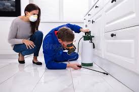 Best Fumigation Services  in Redwood, OR